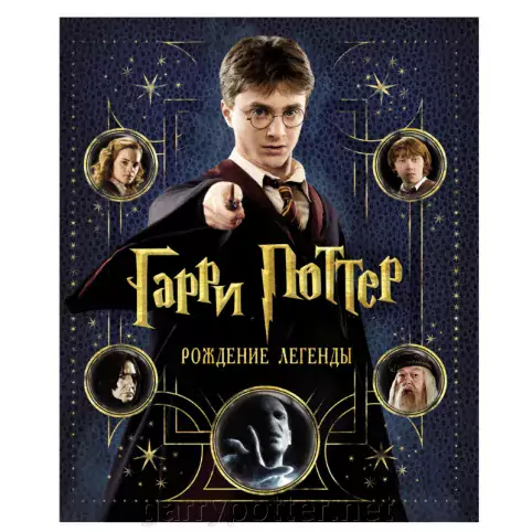 Купить книгу Гарри Поттер. Рождение легенды В наличии по выгодной цене