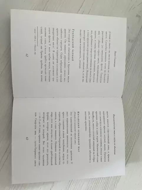 Pic. 15. 12+ Гарри Поттер. Фантастические звери и места их обитания