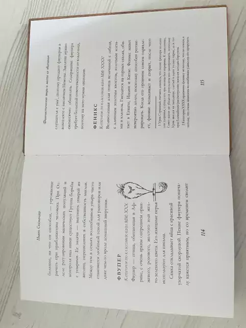Pic. 17. 12+ Гарри Поттер. Фантастические звери и места их обитания