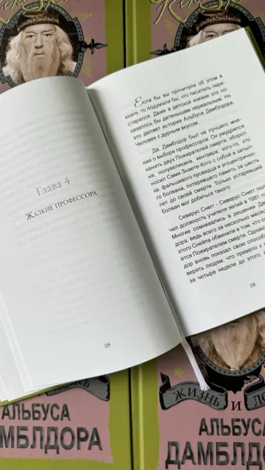 Pic. 18. Набор книг из Гарри Поттер. 7 учебников Хогвартса в деревянном красном сундуке