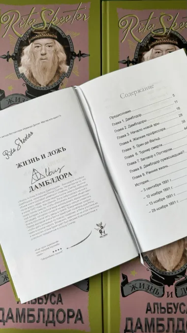 Pic. 19. Набор книг из Гарри Поттер. 7 учебников Хогвартса в деревянном красном сундуке