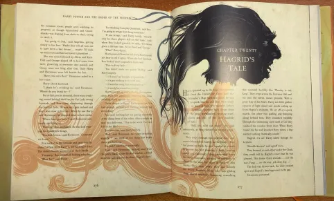 фото 7 Harry Potter Illustrated Editions (5 book series) в Ростове