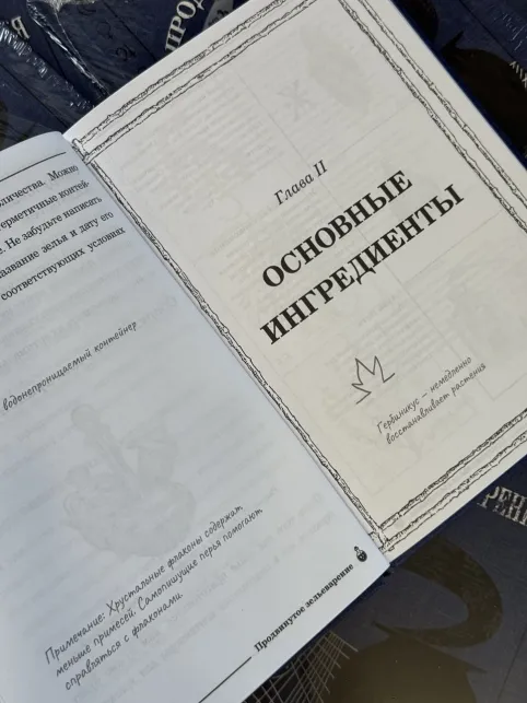 Pic. 18. Комплект из 2 книг Гарри Поттера. Основы Зельеварения и Продвинутое Зельеварение, с пометками Принца-Полукровки