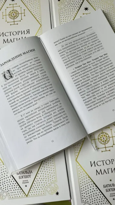 Pic. 11. Набор книг из Гарри Поттер. 10 учебников Хогвартса в деревянном красном сундуке