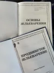 фото 4 Комплект из 2 книг Гарри Поттера. Основы Зельеварения и Продвинутое Зельеварение, с пометками Принца-Полукровки СПб
