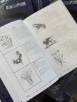 Pic. 26. 11 Книг из Гарри Поттера. Комплект Учебников Хогвартса
