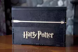 Pic. 1 Деревянный сундук для книг Гарри Поттер (черный) buy